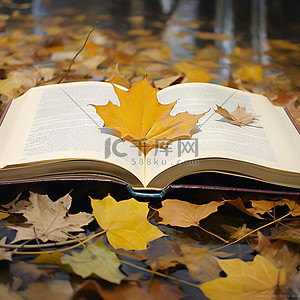 秋天银杏落叶背景图片_一本打开的书被放置在落叶中