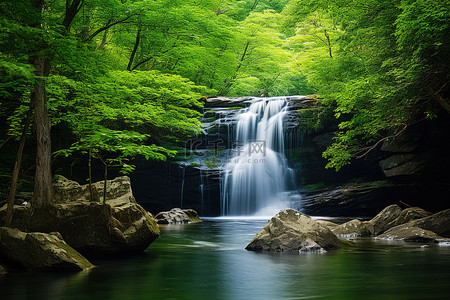 瀑布水流背景图片_瀑布和水流过茂密的绿色森林