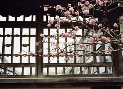 楼顶栏杆背景图片_房子里的树开花，就像有黑白栏杆的窗户一样