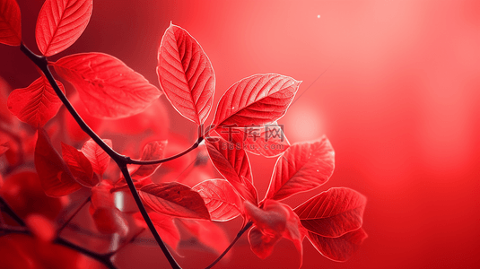 立春红色背景图片_装饰图案红色自然背景