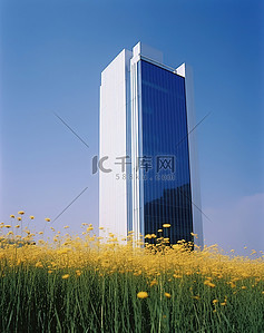 一座大型办公楼，高高的草丛中，开着一朵黄色的花