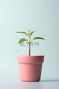 丹参根部背景图片_盆里的小植物，露出根部