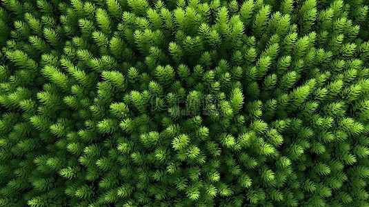 灌木丛草地背景的顶视图 3D 渲染