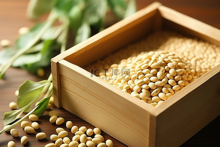 小麦旁边的木箱里的大豆