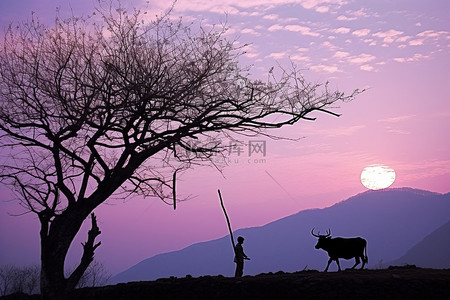 农民上岗背景图片_远处是反射在天空上的太阳和一头牛