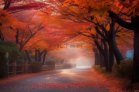 2012年韩国的秋季