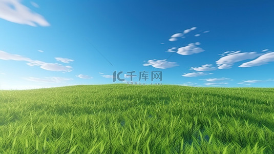 草皮种植图片