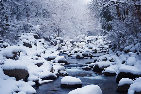 溪流背景图片_一条山间溪流坐落在冰雪覆盖的森林中