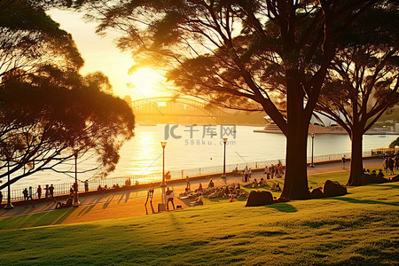 旅游景色背景图片_悉尼暮光之城 悉尼港和剧院在日落时的景色