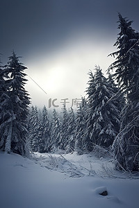 积雪的森林景观与暴风云