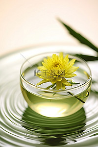 一朵小绿花坐在一碗水里