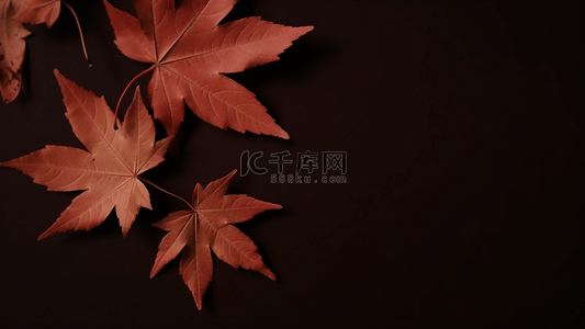 秋日枫叶背景图片_秋天枫叶树叶摄影广告背景