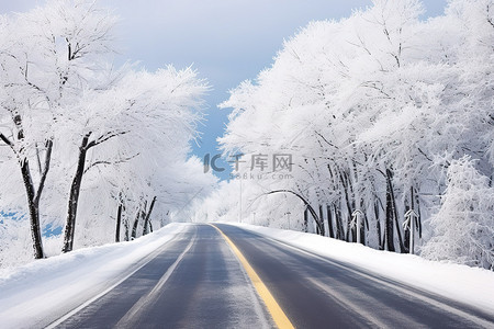 积雪覆盖的道路和树木