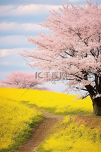 4月背景图片_2012年4月23日日本人民庆祝春天的时代的樱花景观