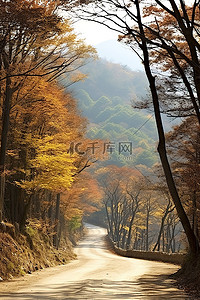 丝绸之路封面背景图片_乡村之路