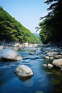 有河流的森林背景图片_一条河流，位于一个有岩石和树木的美丽地区