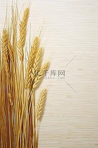 水稻png背景图片_水稻和小麦特写照片