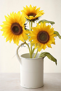 花浇水背景图片_两朵向日葵在白桶里浇水