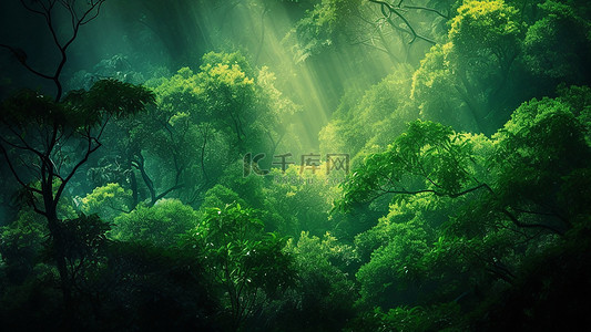 自然森林光线