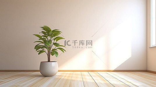 极简主义空间，一个带有孤独植物和盆栽的房间的 3D 渲染