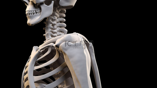 解剖学上背景图片_在 3d 渲染的男性医学解剖学上关闭肘骨