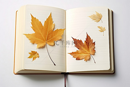秋天银杏落叶背景图片_这是一本打开的笔记本，上面有不同颜色的叶子