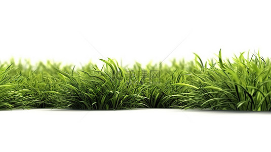 绿叶自然背景图片_白色背景上的 3D 渲染绿草地非常适合商业横幅和印刷品