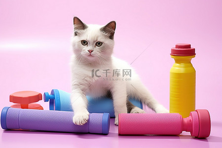 可爱瓶瓶背景图片_一只猫坐在瑜伽垫上，带着健身瓶和哑铃