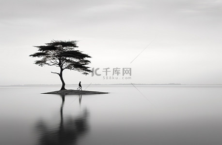 中央红军背景图片_大片水域中央的一棵树的图像