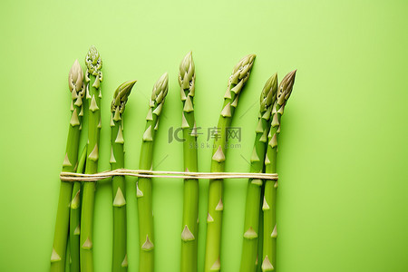 素食健康背景图片_亮绿色背景中的绿芦笋