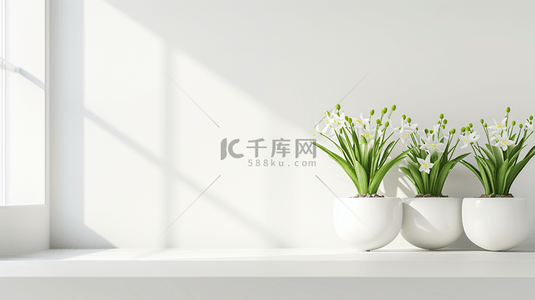 白色简约室内场景清新花瓶盆栽的背景13