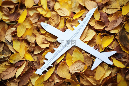 彩色旅行背景图片_黄色叶子上的彩色飞机