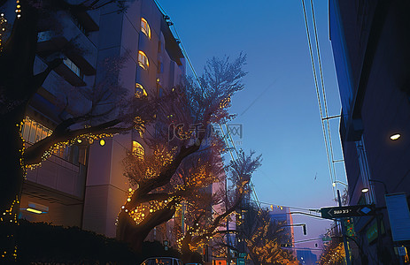 冬天背景图片_树街灯与夜景