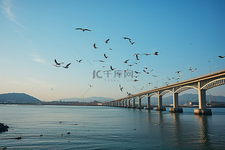 天空水面背景图片_鸟儿飞过水面和桥梁