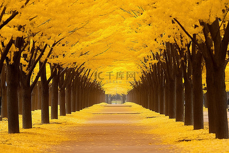 一条黄色的小路通向一棵黄色的树