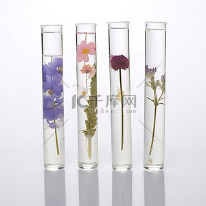 试管毒药背景图片_四个试管，里面装满四种不同的花