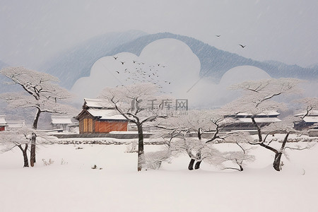 东北雪屋背景图片_韩国白云下的雪与房屋