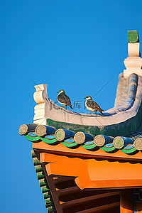 两只洋泾浜鸟在蓝天绿色宝塔的顶部