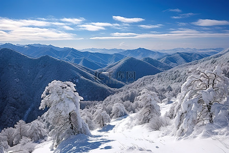 照片背景图片_雪地里被雪覆盖的山的照片