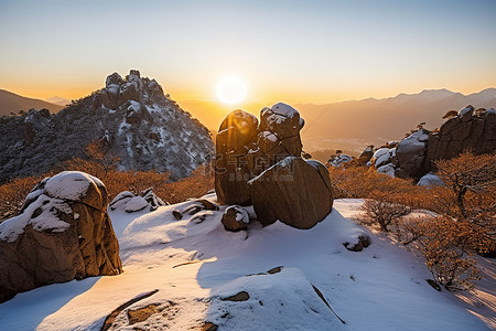 太阳从有雪和树木的山上升起