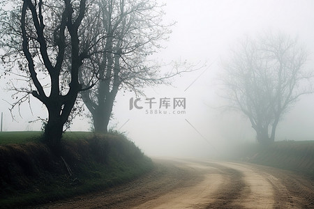 平坦的泥土路背景图片_一条雾中的土路，旁边有树木