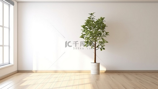 简约的室内白色墙壁和木地板与装饰植物 3D 渲染