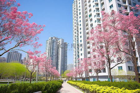 春天花草地背景图片_春天鲜花盛开的高层公寓楼