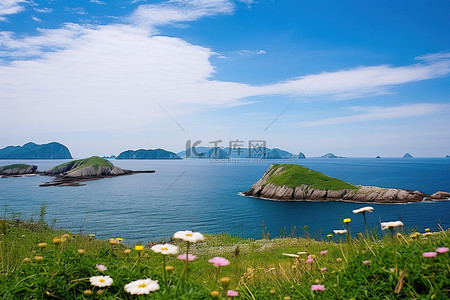 海环绕岛背景图片_天空环绕的小岛和色彩缤纷的花朵的海景