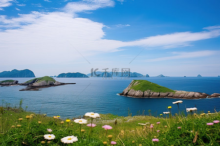 天空环绕的小岛和色彩缤纷的花朵的海景