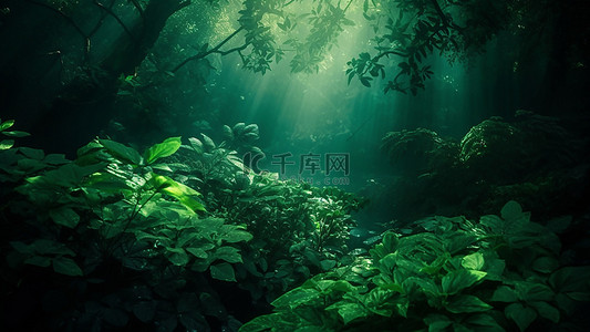 净化空气的植物背景图片_自然森林光线照射