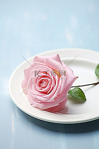 蓝桌上白盘里的粉红玫瑰
