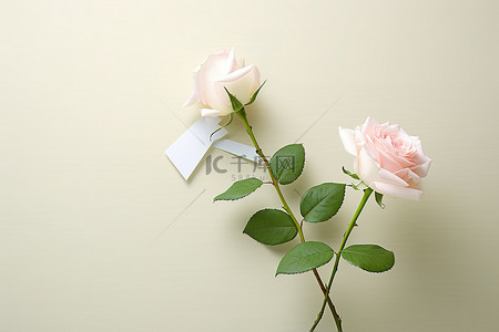 两朵玫瑰和一个靠近的信封