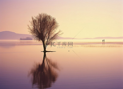 在河边背景图片_阳光明媚的风景，一棵树和一棵树倒映在水中