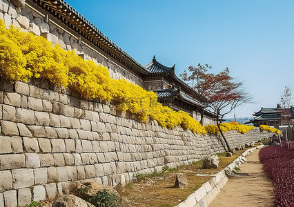 韩国景点背景图片_景福宫 朝鲜 旅游景点
